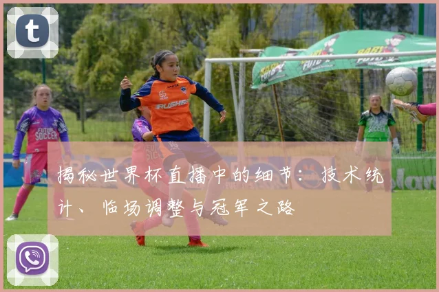 揭秘世界杯直播中的细节：技术统计、临场调整与冠军之路